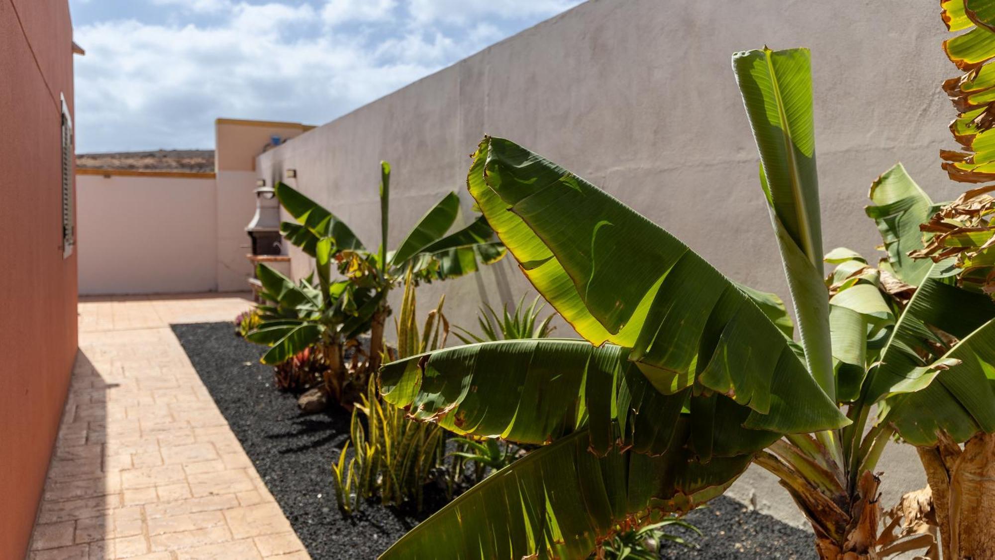 Villa Vento By Calima Villas Costa De Antigua Buitenkant foto